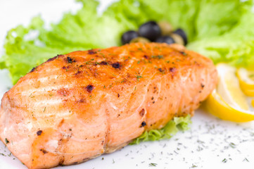 grilled salmon, macro