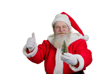 Gesturing Santa Claus on white background. Portrait of Santa Claus holding little decorative Christmas tree and giving thumb up, isolated on white background.