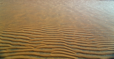 sand of the dune desert