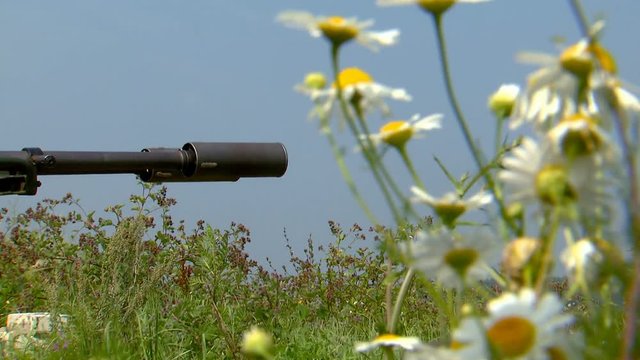 the gun shoots in the field