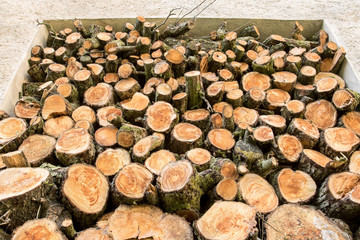Heap of wood logs ready for winter. Stack of chopped firewood. A pile of woods in the house storage. Raw barked wood logs in a storage yard.