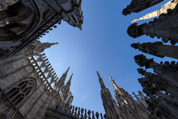 Milan Cathedral roof