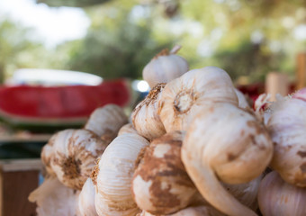 lot of Garlic on a pile at the market