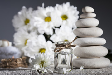 Chamomile essential oil, bouquet of chamomile flowers and stack of rocks