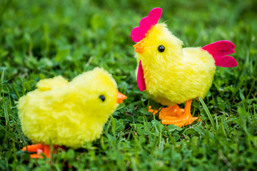 Chicken  toy in the grass