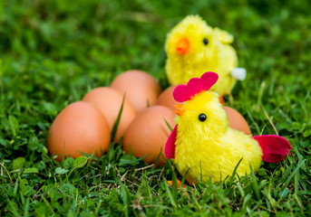 chicken  toy with eggs in the grass