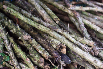 Stack of fire wood. Pile of wood. Dry wood is used to make the fuel