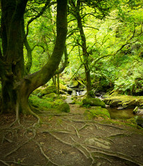 Fototapeta premium Waterfalls in green Ireland