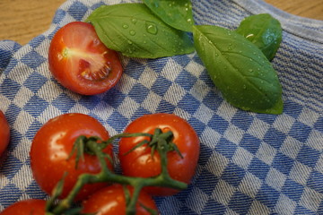 frische Tomaten 