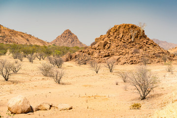 Fototapeta na wymiar Landschaft mit Felsen und weißen Bäumen bei Twyfelfontein, Namibia