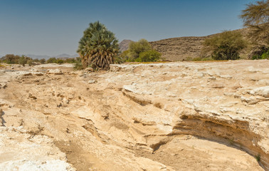 Flussbett des Hoanib in der Trockenzeit, Kaokoveld, Namibia