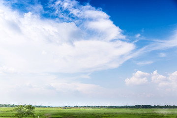 Green lawn with blue sky