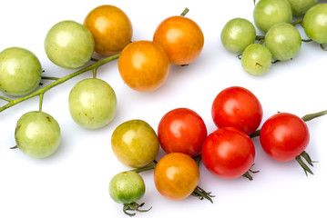 close up of immature tomato panicle isolated on white background