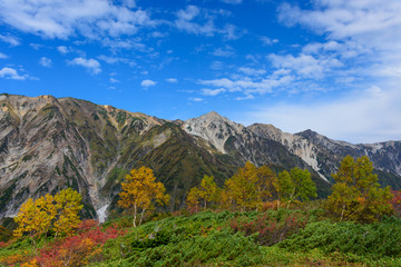 長野　北アルプス　白馬三山　秋