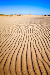 Sand Dunes at Eucla
