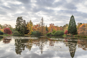 Obraz premium Reflections in a Lake
