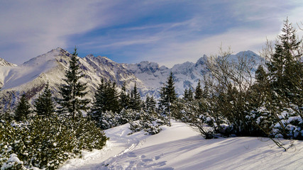 Winter landscape, Tatra Mountains, Poland
