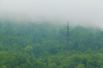Obraz premium A transmission tower standing in the middle of forest on mountainside with dense fog