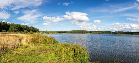 летний пейзаж на берегу с камышом, Россия, Урал, июль