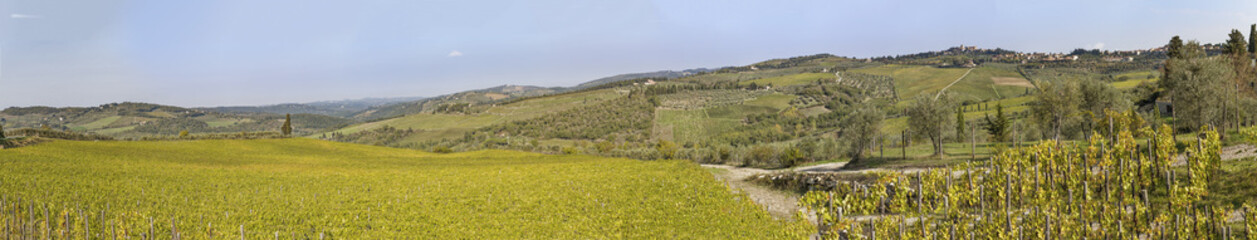 Fototapeta na wymiar View to town Chastellina in Chianti with vineyards in Tuscany in Italy