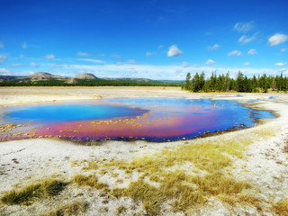 Beautiful colors in sunny day, Yellowstone National Park, Wyoming