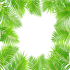 Fototapeta na wymiar Palm Leaf Vector Background Illustration EPS10