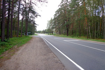 View of the highway and forest in the autumn day