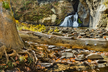 Mine Kill Fall in New York State