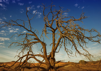 Namibia