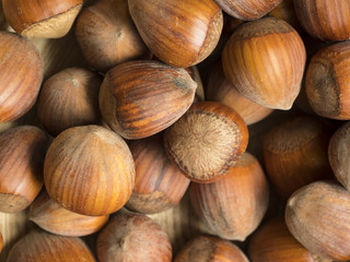 Noisettes : arrière plan