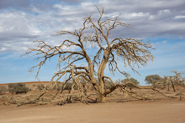 Namibia