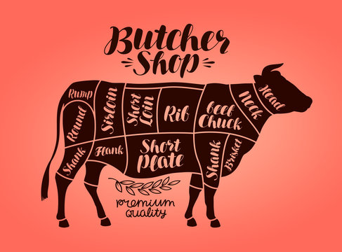 Butcher shop, meat cut charts. Beef, cow, steak concept. Vector illustration