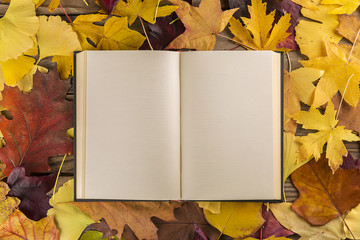 Libro vuoto su sfondo di foglie