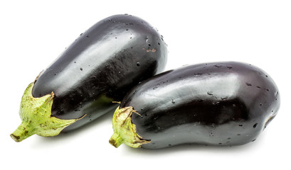 Two whole eggplants (aubergine) with water drops isolated on white background