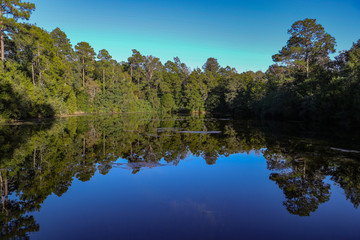 Fototapeta na wymiar Lake reflecting trees