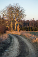 Obraz na płótnie Canvas Small dirt road through fields, Autumn Landscape