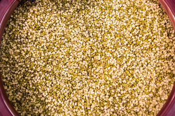 Colorful and healthy food ingredient