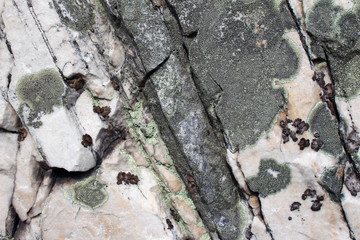A surface of an old rock formation composed of different minerals, Shenandoah National Park, Virginia.