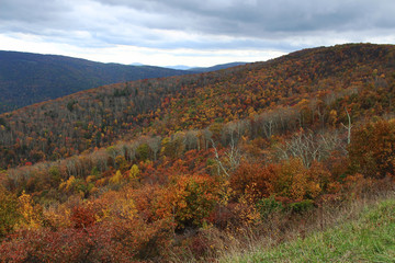 Fototapeta na wymiar A mountain fall landscape with colorful trees. A view from the Skyline Drive in Shenandoah National Park, Virginia.