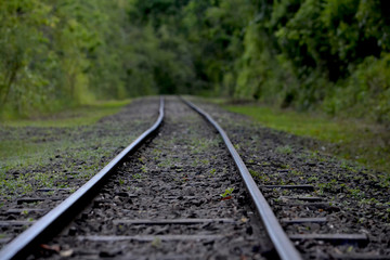railway in forest