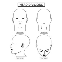 Man head divisions scheme