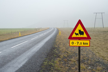Road sign in a Panoramic Jokulsarlon, Typical Icelandic landscape, a wild nature of seals and icebergs, rocks and water.