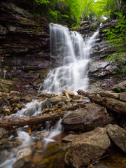 Forest Waterfall - Glen Onoko