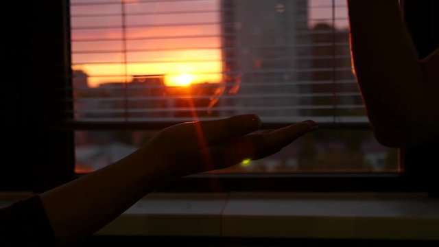 Two successful people put their hands on each other's hands, express emotions, at the window at sunset. slowmotion. HD. 1920x1080