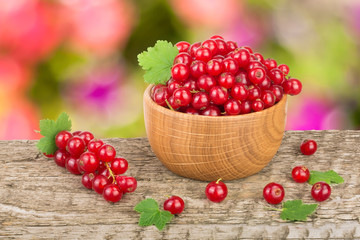Red currant berries in wooden bowl on wooden table with blurry garden background
