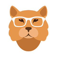 lion head face in the glasses vector illustration flat