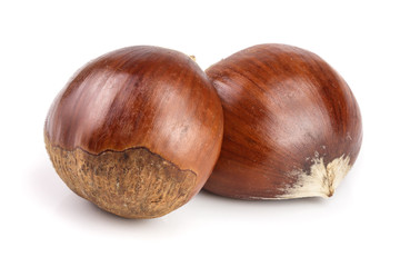 fresh edible chestnut isolated on white background