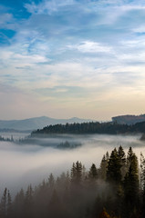 Naklejka na ściany i meble Foggy morning in the Ukrainian Carpathian Mountains in the autumn season