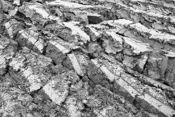 freshly ploughed land in holland seen closeup