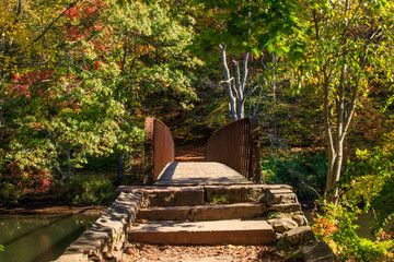 Obraz premium Footbridge into the Forest